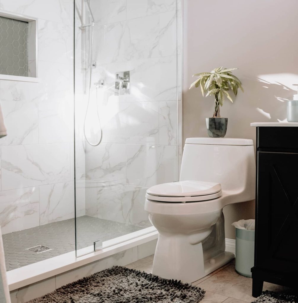 Toilet Repair Services in Redfern