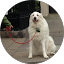 Azrah Icon