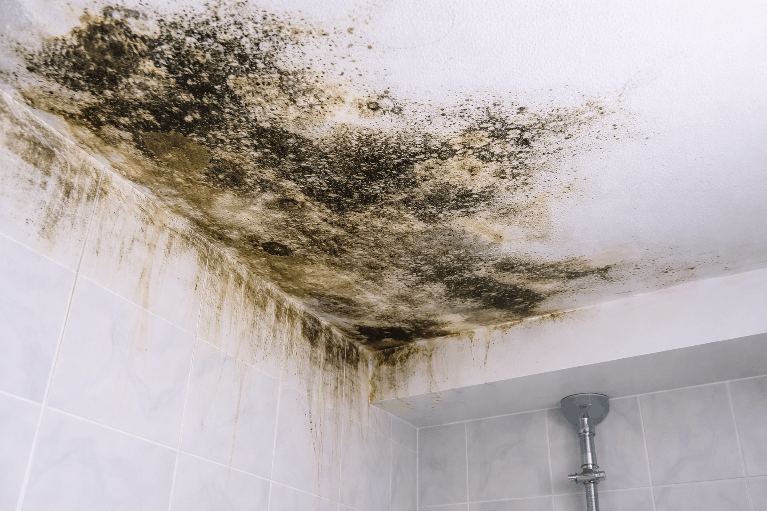 Visible mould growth on a ceiling resulting from hidden plumbing leaks