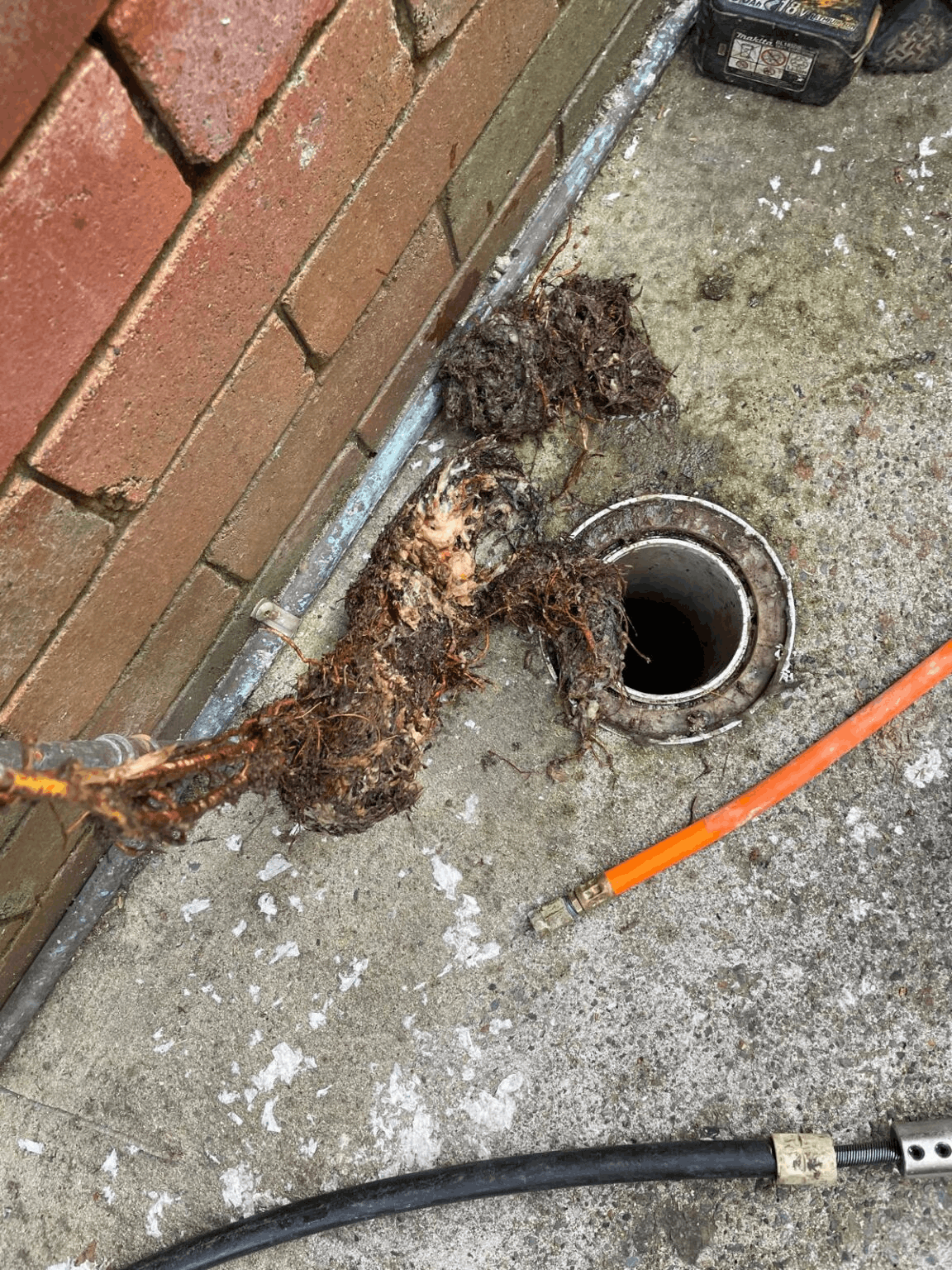 Blocked drain in Sydney with roots and debris on ground by outdoor pipe, cleaning tools lying nearby.